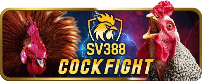 Hỗ trợ khách hàng rs88 casino