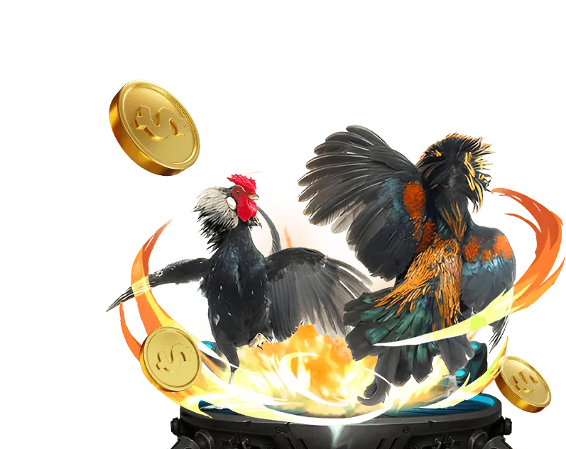 Hợp tác B2B với rs88 Casino