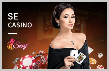 Người dùng đăng nhập vào rs88 casino